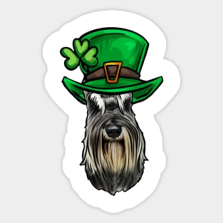 St Patricks Day Miniature Schnauzer Sticker